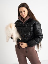2806-15 / черная женская куртка (на синтепоне, из экокожи, 5ед. размеры полубатал:XL. XL. XL. 2XL. 2XL) фото