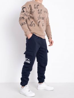 6720-2 синие мужские спортивные штаны (GODSEND, флис, 5 ед. размеры норма: M. L. XL. 2XL. 3XL) фото