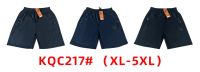 0217# выбор цвета мужские шорты (двунитка, 10-ед, размеры норма: XL-5XL) фото
