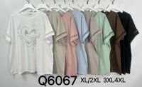 6067# микс цветов женская футболка (Kiss me, 10 ед, размеры батал: 2XL-4XL) выдача на следующий день фото