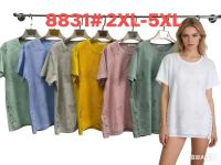 8831 # выбор цвета женская трикотажная футболка (4 ед, размеры батал: 2XL-5XL) выдача на следующий день фото