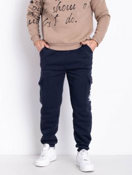 6721-2 синие мужские спортивные штаны (GODSEND, флис, 5 ед. размеры норма: M. L. XL. 2XL. 3XL) фото