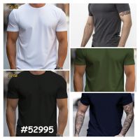52995# выбор цвета мужская футболка (Турецкий хлопок, 5 ед, размеры батал: 50-52-54-56-58) выдача на следующий день фото