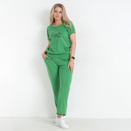 19700-7 зеленый женский спортивный костюм (SARA, французкий трикотаж, 4 ед. размеры полубатал: 46. 48. 50. 52) фото