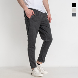 41666 три цвета мужские спортивные штаны (DUNAUONE, двунитка, 6 ед. размеры норма: M. L. XL. 2XL. 2XL. 3XL)  фото