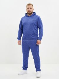 4975-4541 синий мужской  спортивный костюм (двухнитка, с капюшоном, 4ед, размеры полубатал: 50, 52, 54, 56) фото