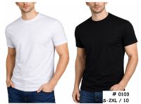 0103# выбор цвета мужская футболка (10 ед, размеры норма: S-M-L-XL-2XL) выдача на следующий день фото