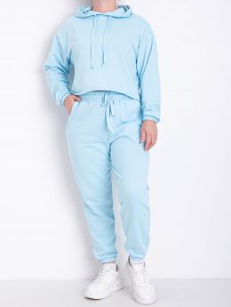 0015-42 голубой женский спортивный костюм (турецкая петля, 4 ед. размеры норма: 40. 42. 44. 46) фото