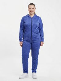 4976-450 синий женский спортивный костюм (двухнитка, с капюшоном, кофта на змейке, 5ед, размеры батал: 50, 52, 54, 56, 58) фото