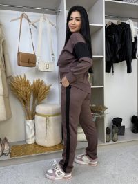 купить 19400-95 темно-фрезовый  женский спортивный косюм (SARA, трикотаж, 2 ед. размеры полубатал: 46/48, 50/52) оптом