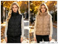 6601 # выбор цвета женская жилетка на синтепоне (5 ед, размеры полубатал: 2XL-6XL) выдача на следующий день фото
