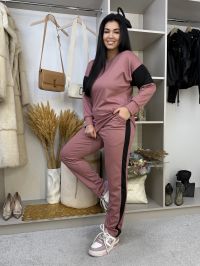 купить 19400-23 темно-розовый женский спортивный косюм (SARA, трикотаж, 2 ед. размеры полубатал: 46/48, 50/52) оптом