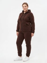 8675-9 коричневый женский спортивный костюм (трехнитка на флисе, манжет, кофта на змейке, с капюшоном, 3ед, размеры полубатал: 4 фото